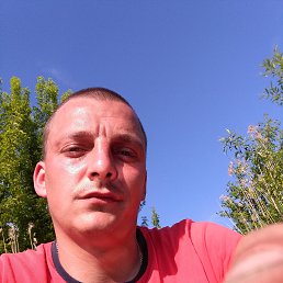 ���� ���������, �����, 42 ���� - ��������� 29 ��� 2016