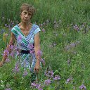 ���� ������, ����, 71 ��� - ��������� 9 ���� 2016