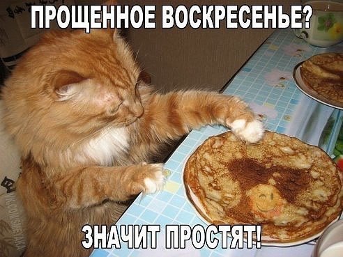 .https://fotostrana.ru/away?to=/sl/kxC2 - 13  2016  17:33