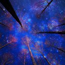 ���� ������..., ������, 55 ��� - ��������� 15 ������� 2016 � ������ ������ ��������