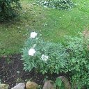 ���� �������, �����-���������, 65 ��� - ��������� 30 ���� 2016 � ������ ����� 2016�