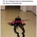 ���� �����, ������������, 48 ��� - ��������� 10 ������ 2016 � ������ ������ ��������