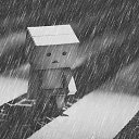 ���� ����, ����������� - ��������� 1 ���� 2016 � ������ ���� ����������