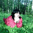 ���� �������, ����������, 44 ���� - ��������� 22 ����� 2016 � ������ ���� ����������