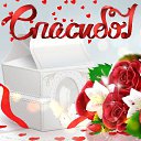 ���� ������, ����, 54 ���� - ��������� 7 ������ 2016 � ������ �������� ��������