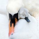 ���� ��������, ������, 41 ��� - ��������� 2 ������ 2016 � ������ ������ ��������