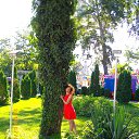 ��������� 2016 �� ������� ���� ����������