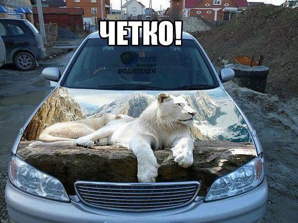  - ,  - 2  2016  14:12