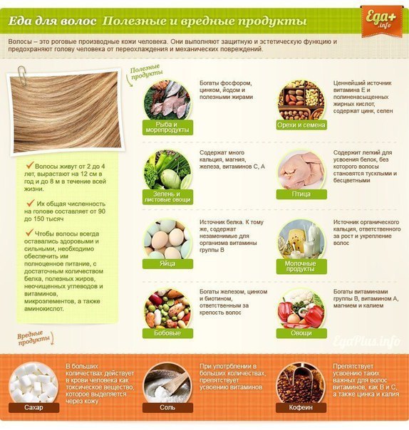 Еда для органов в картинках. #интересное@cooklove - 4