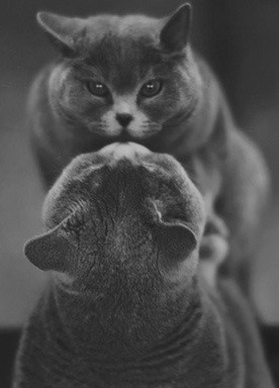       - 14  2016  15:44 - 5