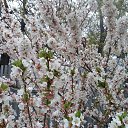 ���� �������, ������ - ��������� 5 ��� 2016 � ������ �������� ��� 2016�