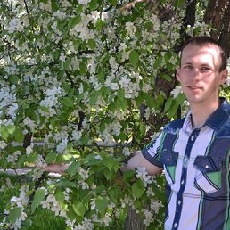 ���� ���������, ��������, 35 ��� - ��������� 29 ���� 2016