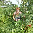 ���� ���������, �����������, 66 ��� - ��������� 8 ������� 2016