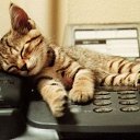 ���� ��������, ������� - ��������� 30 ��� 2016 � ������ ���� ����������