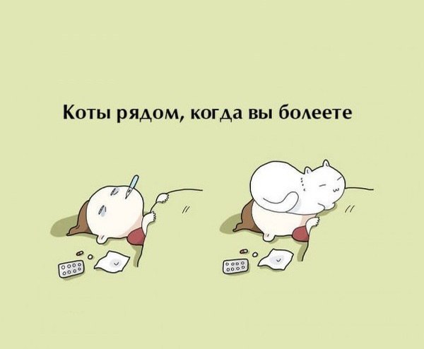 Десять плюсов жизни с котом