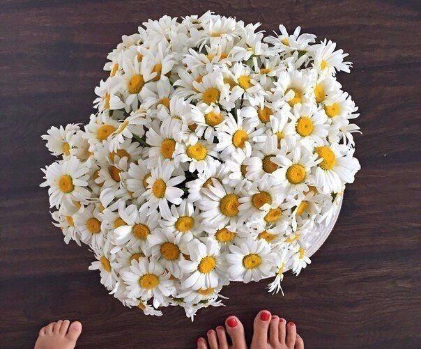 ...����� ������� - 6