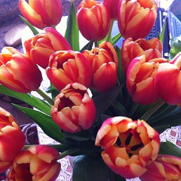 ���� ������, ��������, 60 ��� - ��������� 13 ����� 2016