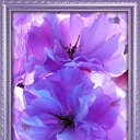 ���� Jana, ������, 68 ��� - ��������� 22 ������� 2016 � ������ ���������...�