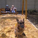 ���� �������, ������, 68 ��� - ��������� 27 ����� 2016 � ������ ���� ���� ������