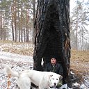 ���� �������, ����������, 50 ��� - ��������� 18 ������ 2016 � ������ ������������� ������!!!�