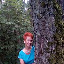 ���� �������, ����� - ��������� 2 �������� 2016 � ������ ���� ����������