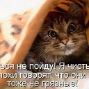 ���� ����, ������, 74 ���� - ��������� 9 ���� 2016 � ������ ���� ����������