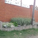 ���� �����, ������, 48 ��� - ��������� 14 ������� 2016 � ������ ��������