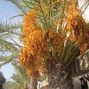 ���� �����, ������, 45 ��� - ��������� 15 ������ 2016 � ������ ���� ����������