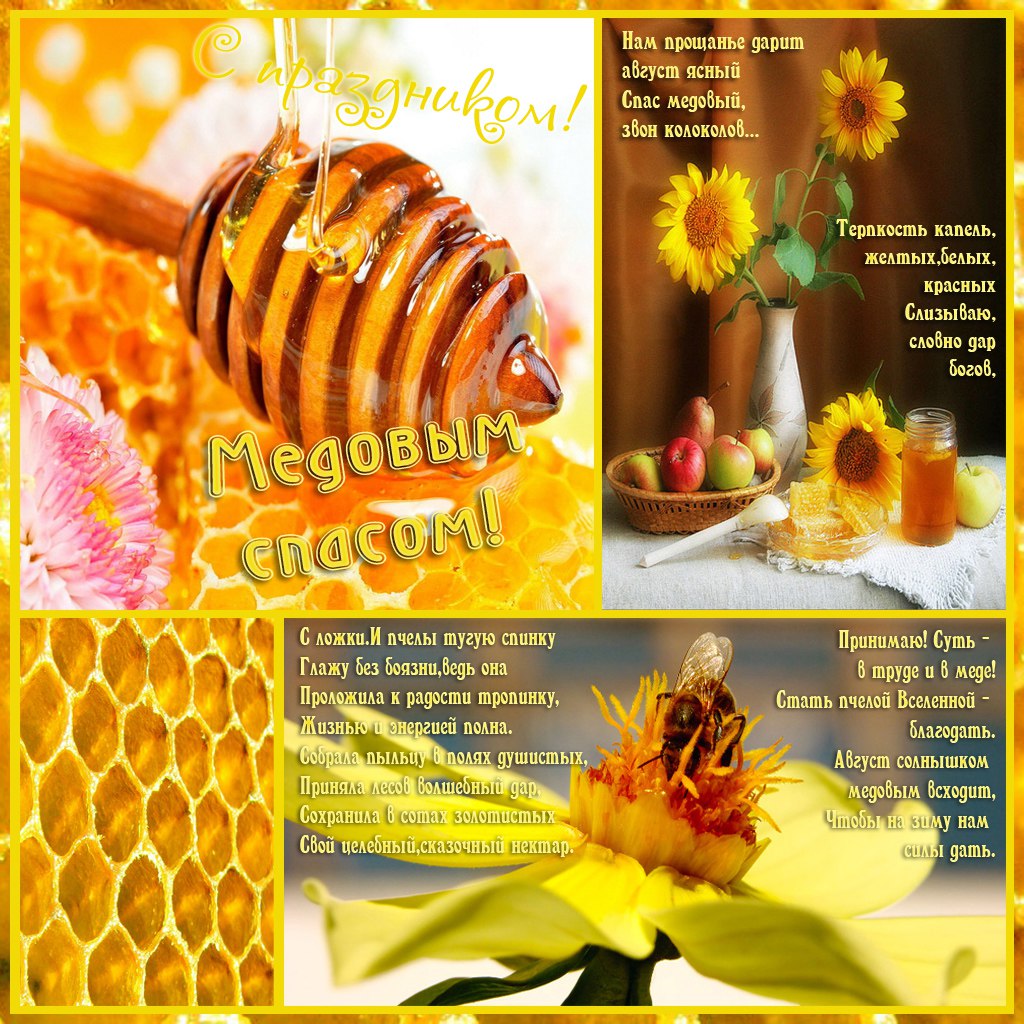 ����� �����... - 14 ������� 2016 � 14:37