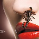 ���� �����, ������ - ��������� 23 ����� 2016 � ������ ������ ��������