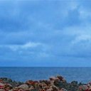 ���� �����..., ����� - ��������� 22 ��� 2016 � ������ ������ �������.�