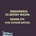  , , 52  -  31  2016    