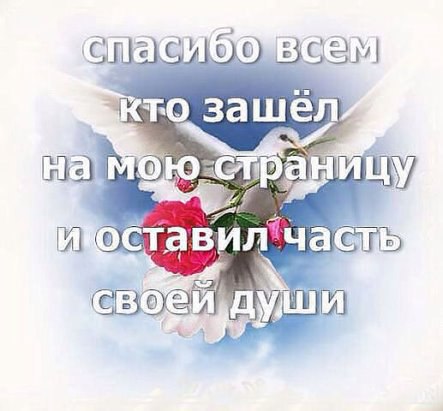 ~Dasha~ - 27 ������� 2016 � 21:51 - 2