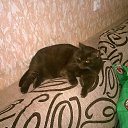 ���� ��������, �����-��������� - ��������� 7 ������� 2016 � ������ ���� ����������