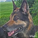 ���� Aleks, �����������, 65 ��� - ��������� 15 ������� 2016 � ������ ���� ����������
