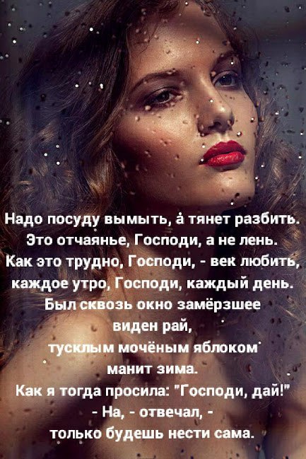 , , . - 16  2016  12:31