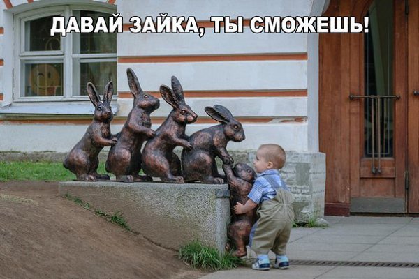    :D - 11  2016  19:35