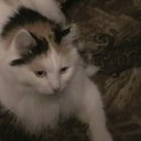 ���� �����, �����, 42 ���� - ��������� 20 ����� 2016