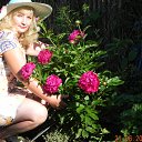 ���� ��������, �����������, 54 ���� - ��������� 22 ���� 2016 � ������ ���� ����������