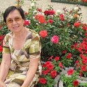 ���� ����, ��������� - ��������� 11 ���� 2016 � ������ ���� ����������