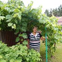  , , 68  -  10  2016     2016