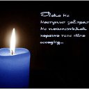 ���� �����, ������, 59 ��� - ��������� 1 ���� 2016 � ������ ������ ��������