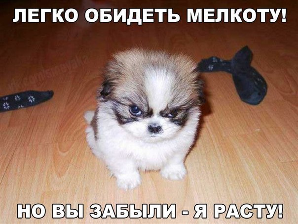    :D - 6  2016  04:37