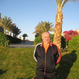 ���� ��������, ������, 66 ��� - ��������� 27 ������� 2016