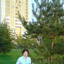 ���������� 2010 ����.