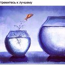���� ������, �����������, 65 ��� - ��������� 7 ���� 2016 � ������ ���� ����������