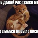 ���� ����, ������, 74 ���� - ��������� 9 ���� 2016 � ������ ���� ����������