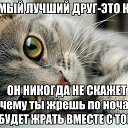 ���� �������, ����������, 53 ���� - ��������� 13 ������� 2016 � ������ ���� ����������