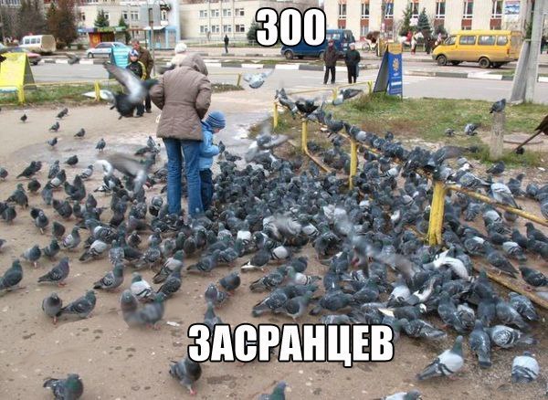 ... - 2  2016  17:58