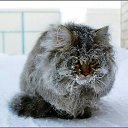 ������ ��������� ��������� �������� � ������� �� �������� ���,��� ��������� � ��� ,,,,,, �� ������� ������� � ������ ....�